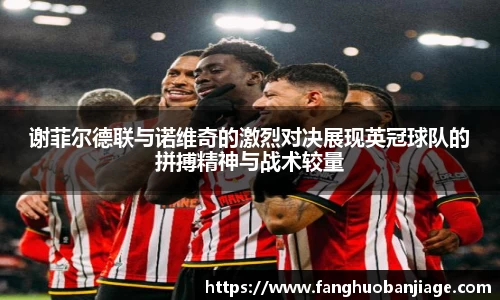 谢菲尔德联与诺维奇的激烈对决展现英冠球队的拼搏精神与战术较量