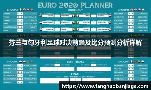 芬兰与匈牙利足球对决前瞻及比分预测分析详解