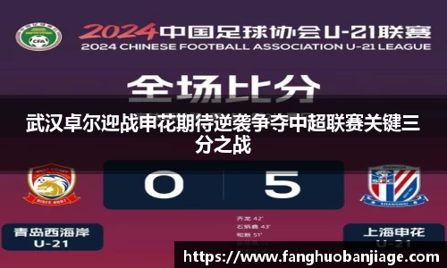 武汉卓尔迎战申花期待逆袭争夺中超联赛关键三分之战